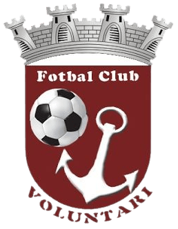 FC Voluntari